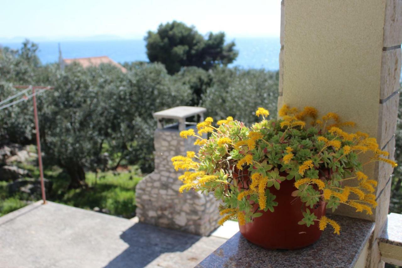 Robinzon Kuca Vila Valentina Holiday home Zadar